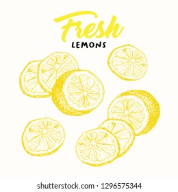 Fresh lemons vector illustration. Handwritten calligraphy, lettering. Sketch fruits clipart. Sliced lemons engraving style drawing. Isolated yellow citrus color design elements. Shop sign, store logo