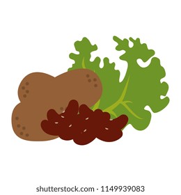 fresh lettuce with beans and potatoes healthy food