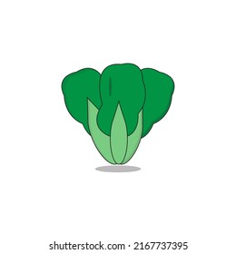 Fresh lettuce design Free Vector