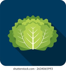 Fresh Lettuce Illustration with Green Leaves on Blue Background.