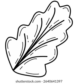 Fresh lettuce leaf vector illustration in a flat cartoon style. Perfect for food packaging, healthy eating concepts, vegetarian or vegan content, salad ingredients, and organic product designs.