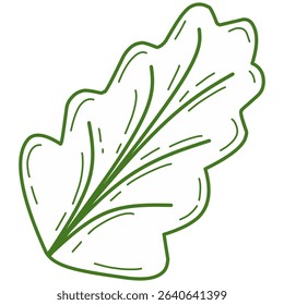 Fresh lettuce leaf vector illustration in a flat cartoon style. Perfect for food packaging, healthy eating concepts, vegetarian or vegan content, salad ingredients, and organic product designs.