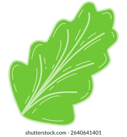 Fresh lettuce leaf vector illustration in a flat cartoon style. Perfect for food packaging, healthy eating concepts, vegetarian or vegan content, salad ingredients, and organic product designs.