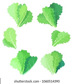 Fresh lettuce leaves collection isolated on white background. Hand-drawn vector illustration