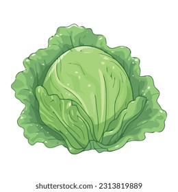 Fresh lettuce vegetable salad, vegetarian meal icon isolated