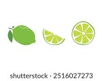 Fresh Lime Collection. Whole and Sliced Citrus Illustrations. Vector Set. EPS 10
