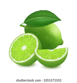 Fresh lime fruit. 3d realistic vector image