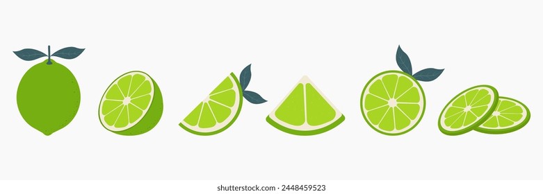 Fresh lime fruit. Collage of lime vector icons isolated on a white background. Vector illustration.