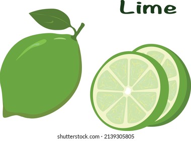 Fresh lime fruit, collection of vector illustrations