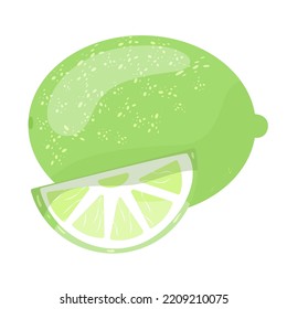 Fresh lime fruit. Green lime slice, vector illustration. Vector illustration for design and print.	