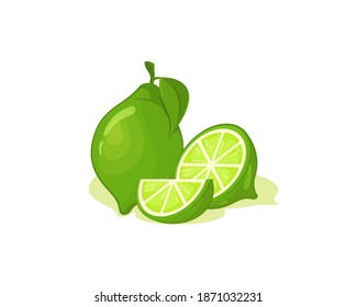 Fresh lime fruit vector design. Slice and pieces of lime