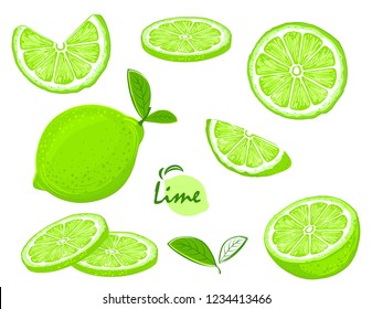 Fresh lime fruits, collection of illustrations