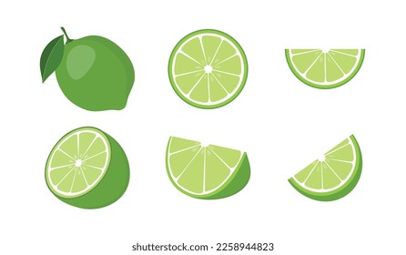 Fresh lime fruits, set. Collection of lime vector icons isolated on white background.
