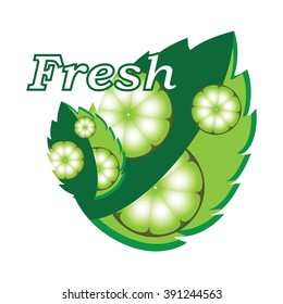 Fresh lime and green mint leaves on white background with signs