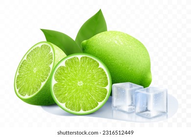 Fresh lime with ice cubes. Composition of elements lime with leaves, half lime, sliced lime, puddle water. 3D realistic vector illustration isolated on transparent background