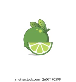 Fresh lime icon vector in green color. Lime fruit on white background isolated. lime slice