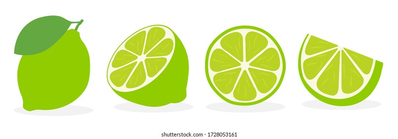 Fresh lime icon vector illustrations