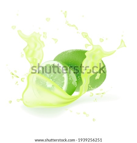 Fresh lime in juice splash Isolated fruit vector illustration