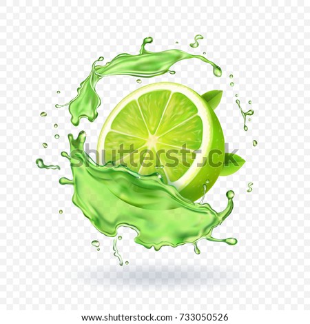 Fresh lime in juice splash Isolated fruit vector illustration