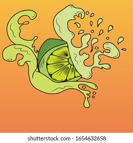 Fresh lime with juice splashes, Vector design for postcard banners .Food drinks