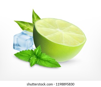 Fresh lime with leaves of mint and ice cube. Mojito concept. Vector icon. EPS10