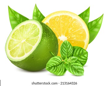 Fresh lime and lemon with leaves and mint. Vector illustration.