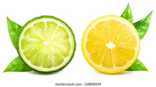 Limón y limón frescos con hojas. Ilustración vectorial.