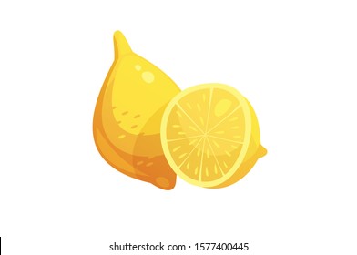 Fresh lime or lemon vector illustration isolated on white background. yellow citrus fruit