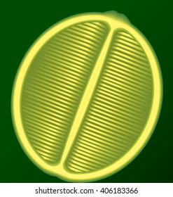 fresh lime in a longitudinal section on a green background