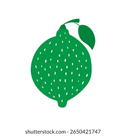 Fresh lime modern flat vector illustration design. Green citrus fruit with leaf on white background. 