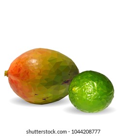 Fresh lime, nutritious and tasty mango. Symbols of fruits. Elements for label design. Vector illustration. Fruits ingredients in triangulation technique. Mango and lime low poly.