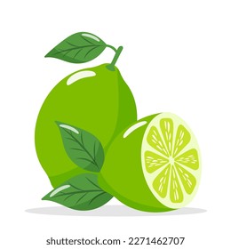 fresh lime on white background with shadow