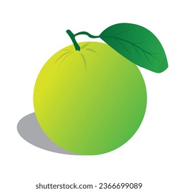 Fresh lime set, with various view of whole lime fruit, halves and slices, isolated on transparent background. Realistic 3d vector illustration
