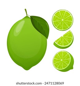 Fresh lime set, with various view of whole lime fruit, halves and slices.