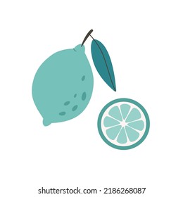 Fresh lime with lime slice. Citrus fruit. Healthy and organic food. Vector illustration in flat style