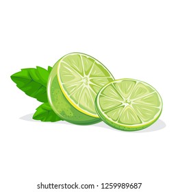 Fresh lime and slice isolated on white background. Vector illustration.
