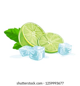 Fresh lime and slice isolated on white background. Vector illustration.