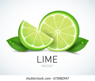 Fresh Lime slice with leaves isolated on white background. Vector illustration for decorative poster, emblem natural product, farmers market. Perfect for packaging design of cosmetics and food.