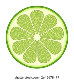 Nova ilustração de vetor de fatia de limão. A cal é segmentada em seções simétricas, com textura suculenta e polpa verde-clara.