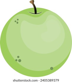 Fresh Lime Vector or Green Orange Vector 