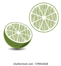 Fresh lime vector illustration