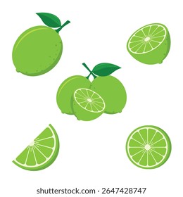 Fresh Lime Vector Set – Citrus Fruit Clipart for Healthy Food and Drink Design