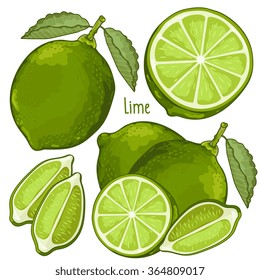 Fresh lime. Fresh vector whole and half ripe green lime with leaf. Exotic citrus icon. Citric fruit set isolated on white background. Natural organic product design cartoon element illustration
