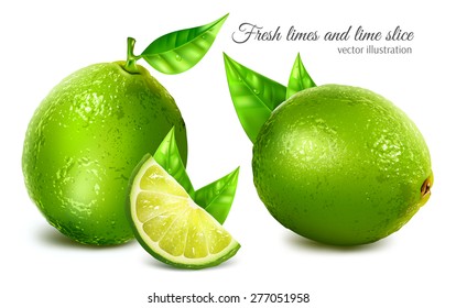 Fresh limes with leaves and lime slice. Vector illustration