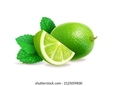 Fresh limes with leaves and mint. Realistic citrus fruit and peppermint. Mojito ingredient 3d vector.