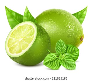 Fresh limes with leaves and mint. Vector illustration.