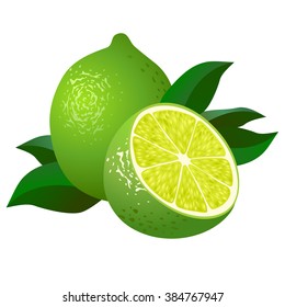 Fresh limes with leaves. Vector illustration.