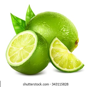 Fresh limes and lime slice with leaves. Vector illustration