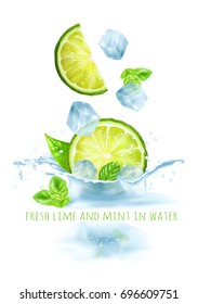 Fresh limes and mints in water. Vector illustration.