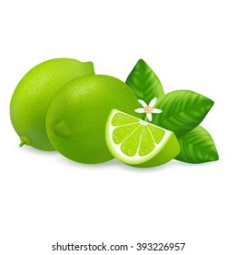 Fresh limes and slices with leaf, flower isolated on white background. Realistic vector illustration.